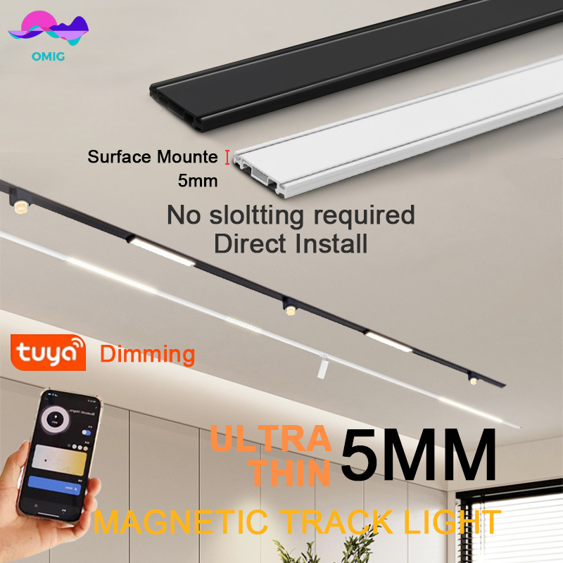 Smart Magnet Track Rail Lights - Outdoor Lighting Track review and price